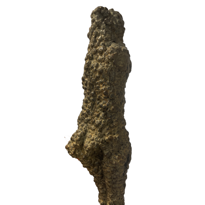 sculpture_bronze_paul_de_pignol_grande_venus